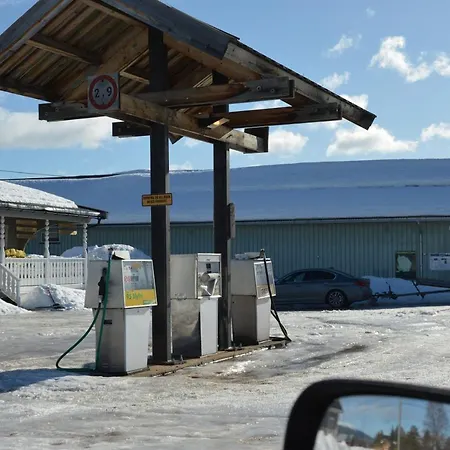 Natur-, Dyre- Og Fugleopplevelser I Fulufjellets Nasjonalparker Ljordal Exterior photo