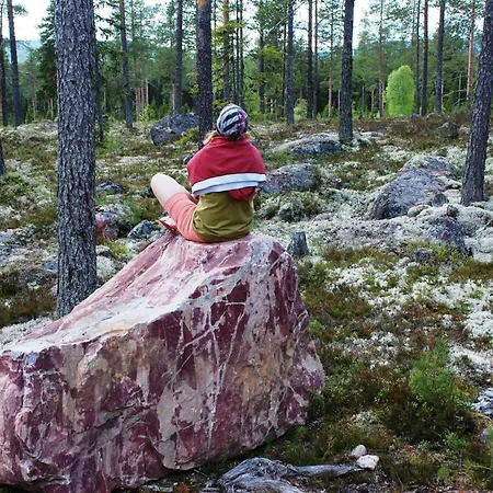Natur-, Dyre- Og Fugleopplevelser I Fulufjellets Nasjonalparker Ljordal Exterior photo