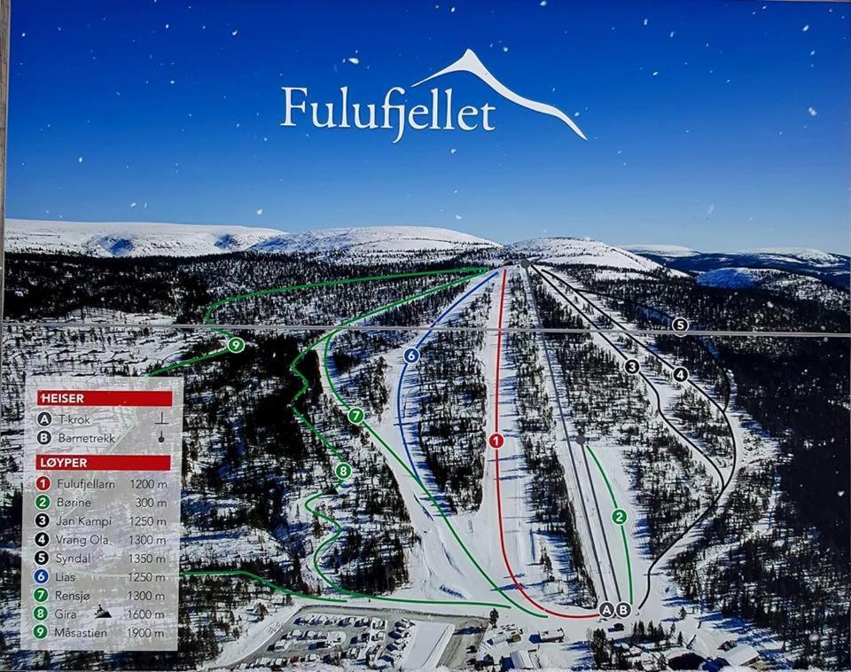 Natur-, Dyre- Og Fugleopplevelser I Fulufjellets Nasjonalparker Apartment Ljørdal