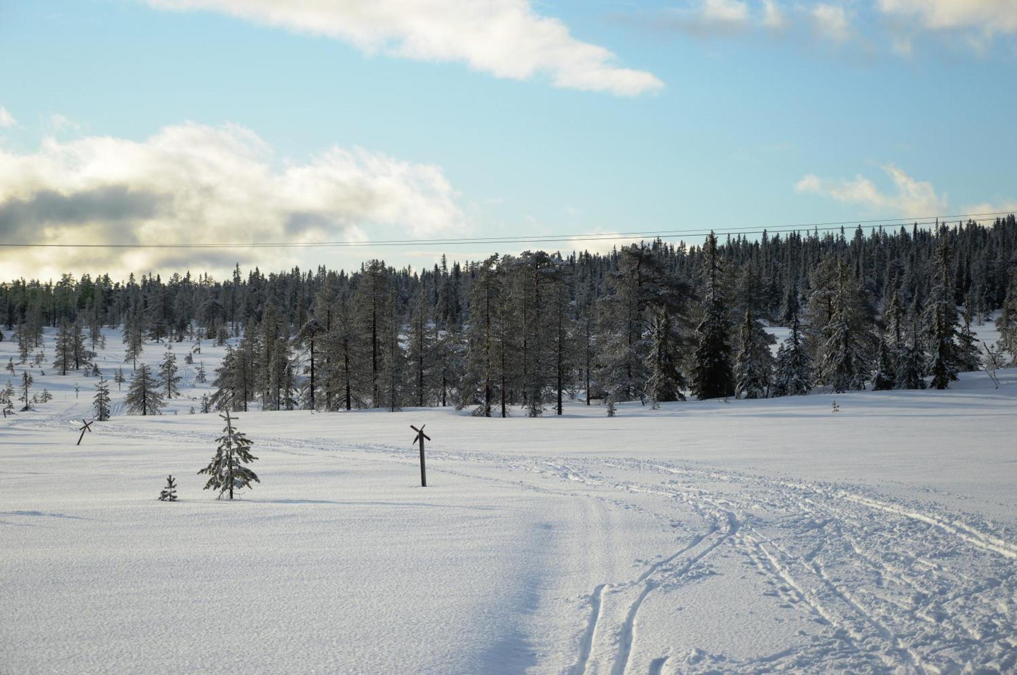 Natur-, Dyre- Og Fugleopplevelser I Fulufjellets Nasjonalparker Apartment