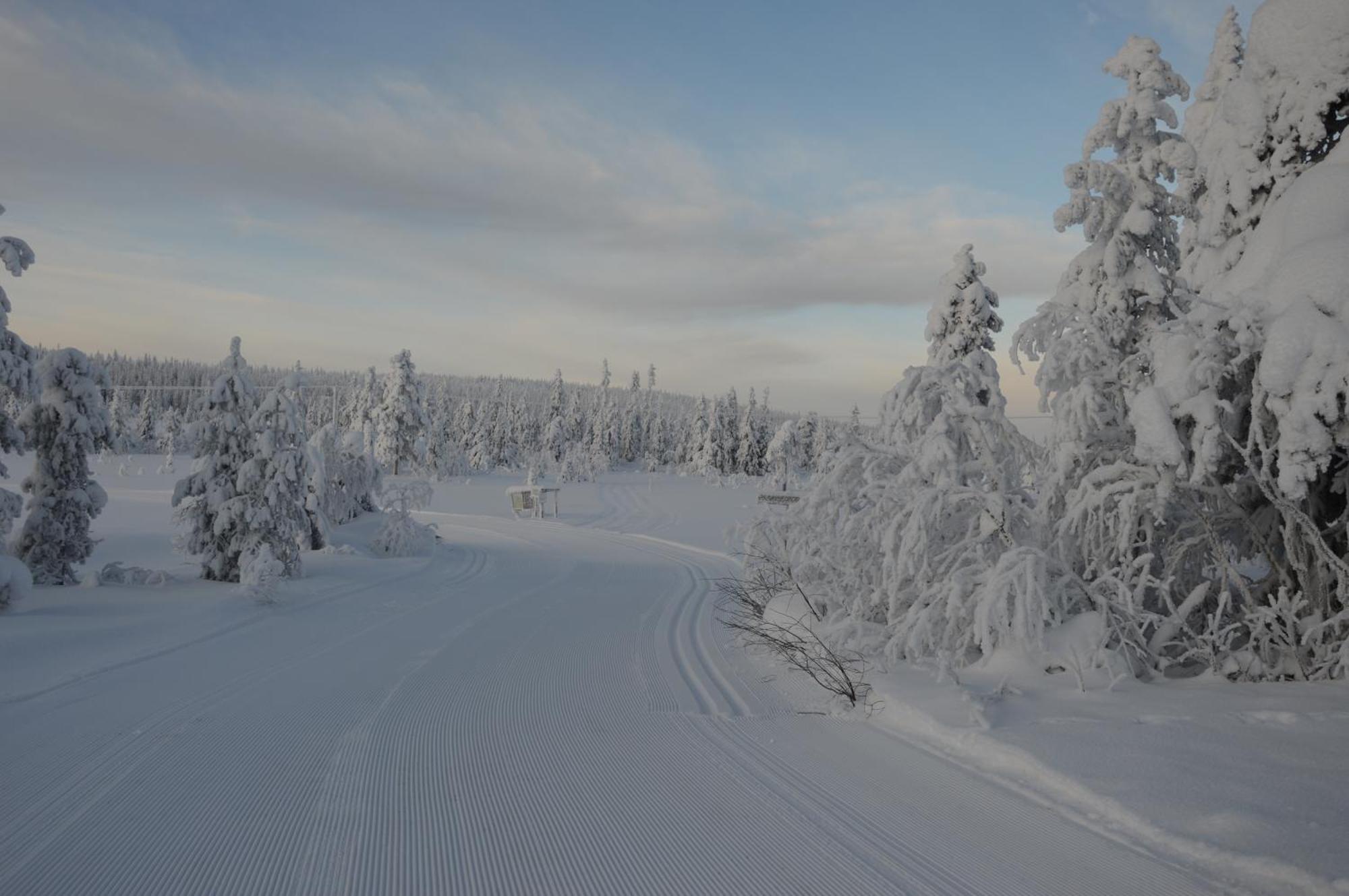 Natur-, Dyre- Og Fugleopplevelser I Fulufjellets Nasjonalparker Ljørdal