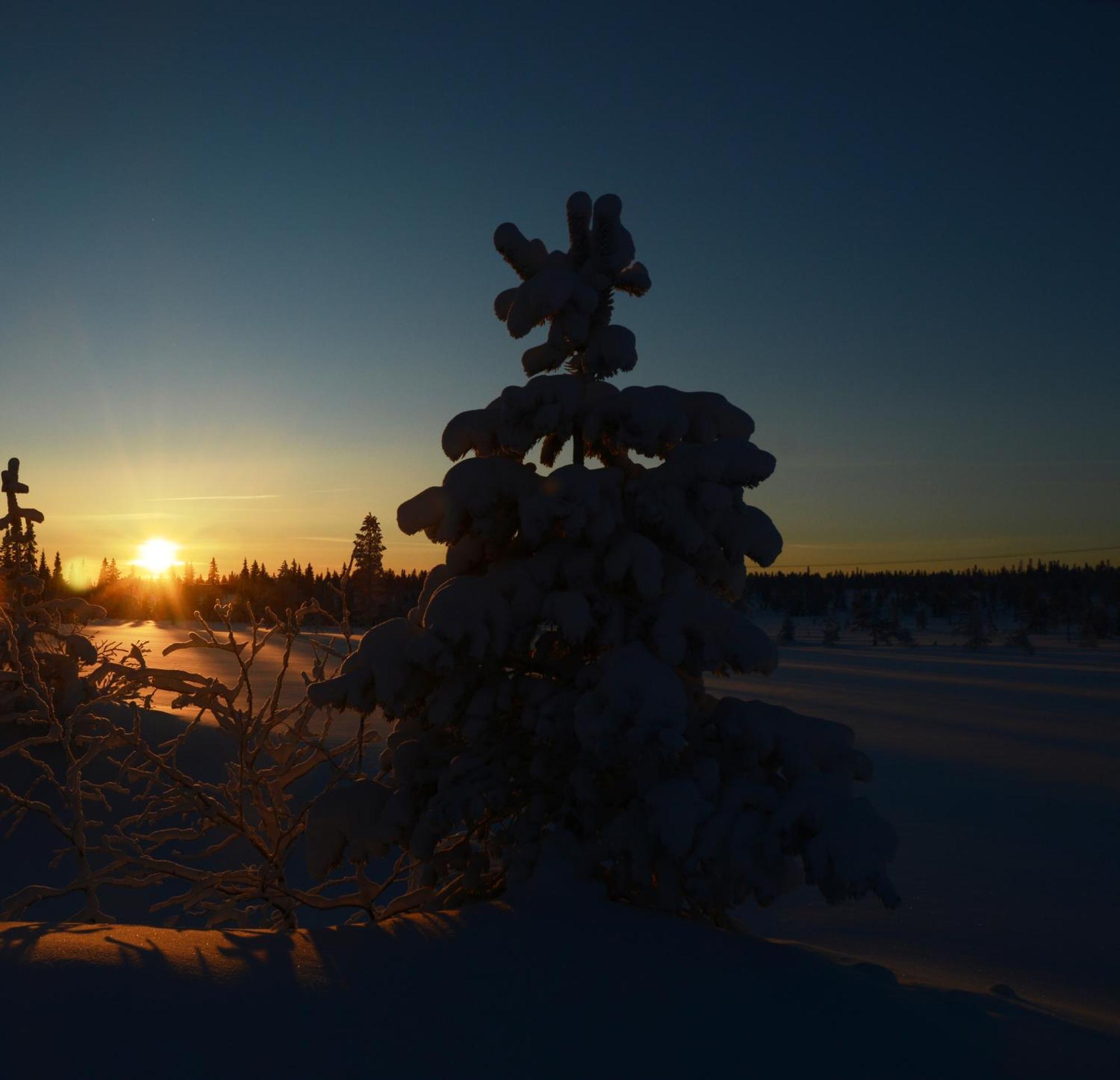 Natur-, Dyre- Og Fugleopplevelser I Fulufjellets Nasjonalparker Ljørdal