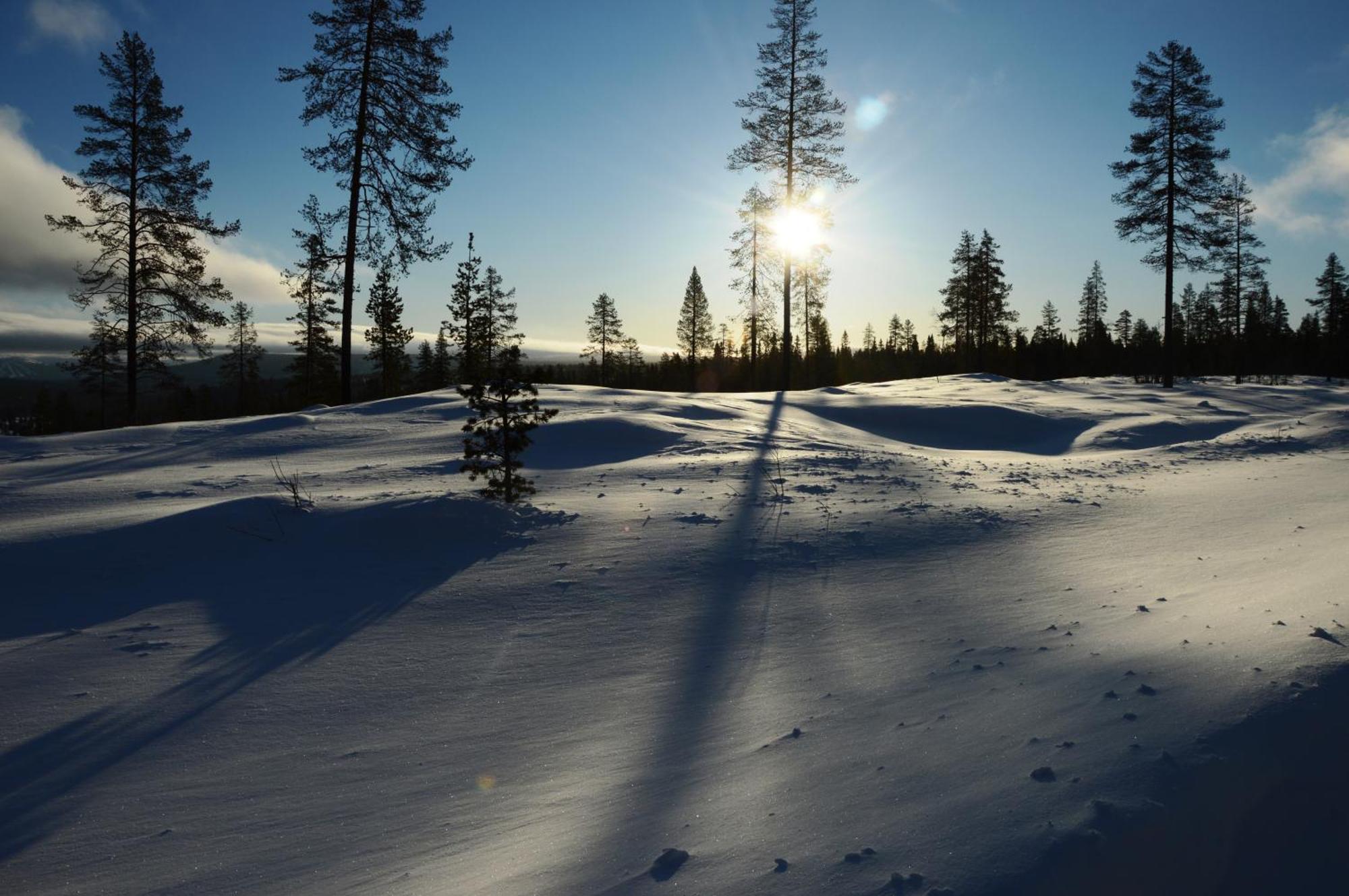 Apartment Natur-, Dyre- Og Fugleopplevelser I Fulufjellets Nasjonalparker