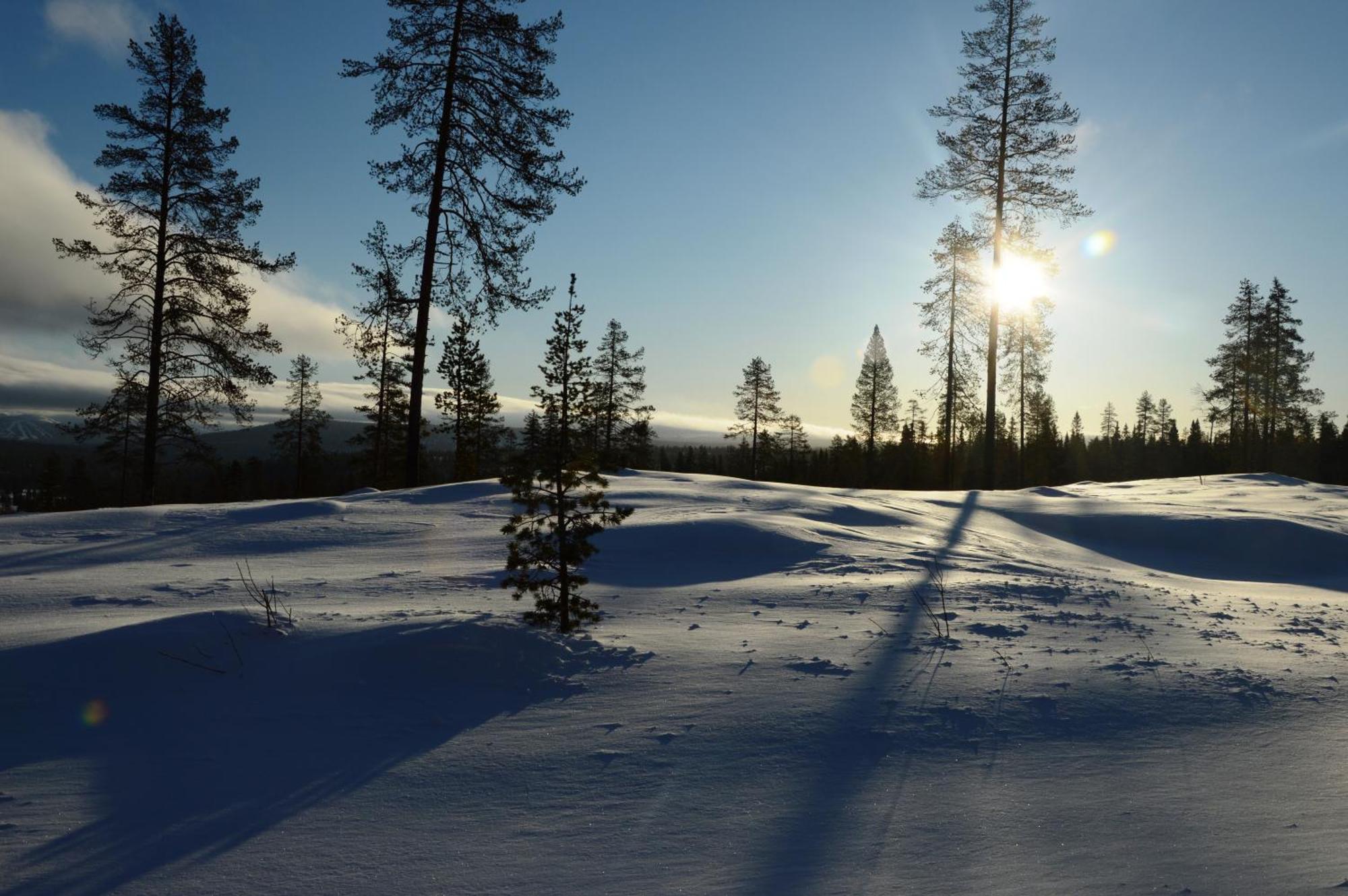 Natur-, Dyre- Og Fugleopplevelser I Fulufjellets Nasjonalparker Apartment