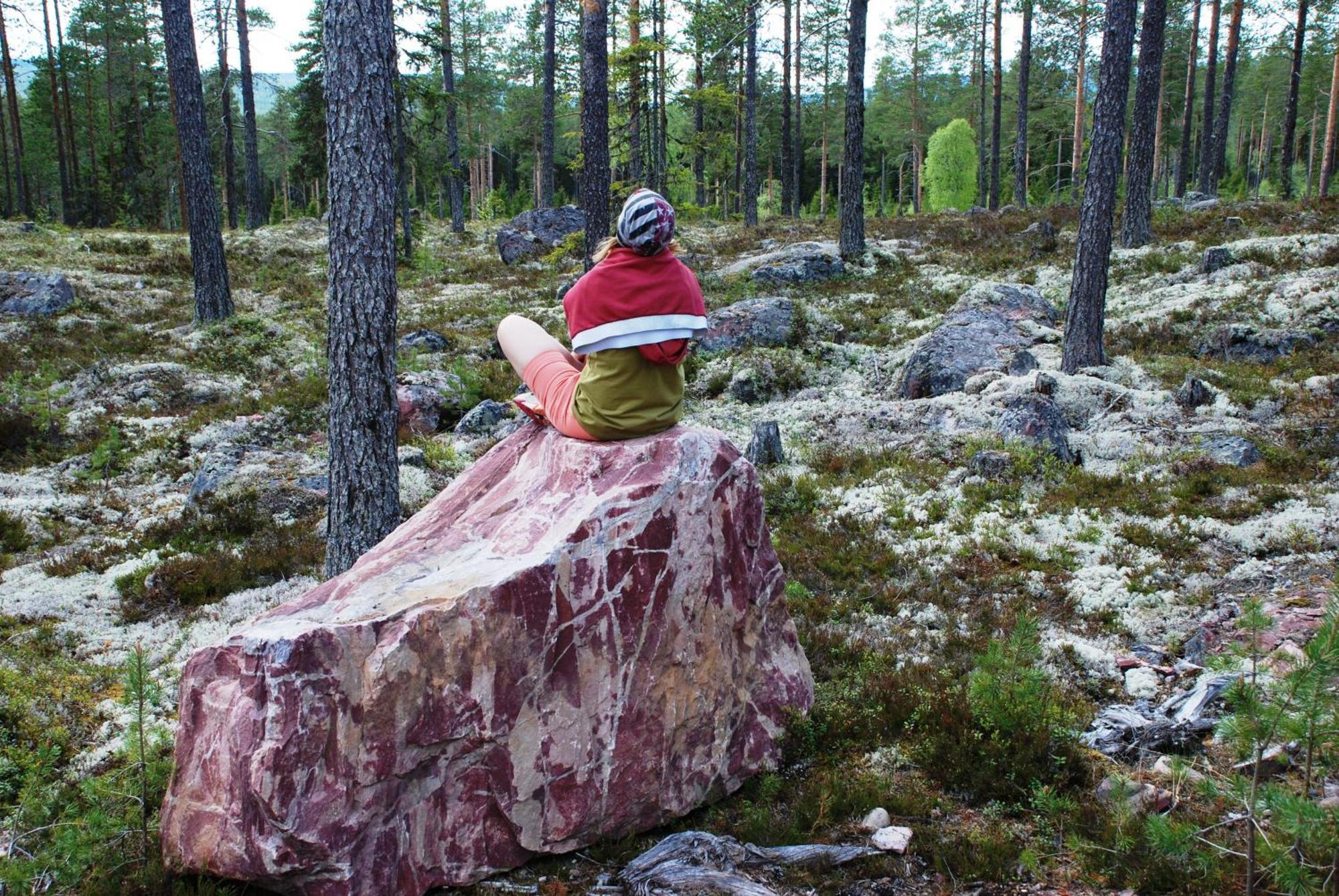 Natur-, Dyre- Og Fugleopplevelser I Fulufjellets Nasjonalparker Apartment *