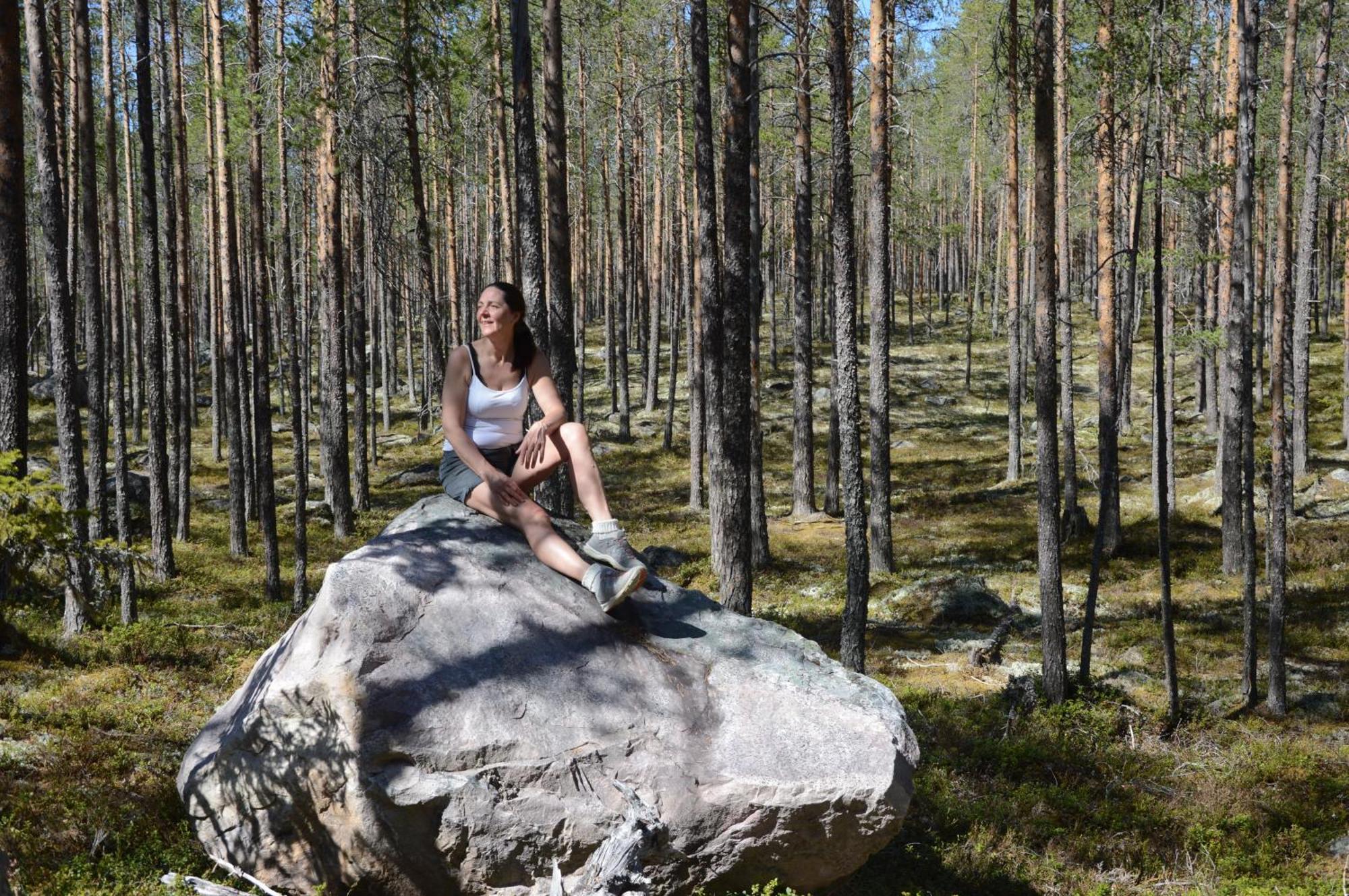 Natur-, Dyre- Og Fugleopplevelser I Fulufjellets Nasjonalparker Apartment Ljørdal