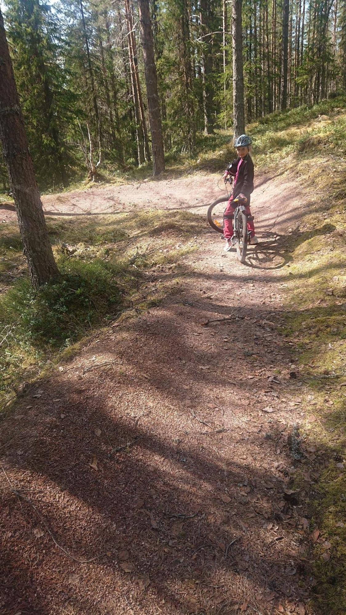 Apartment Natur-, Dyre- Og Fugleopplevelser I Fulufjellets Nasjonalparker Ljørdal