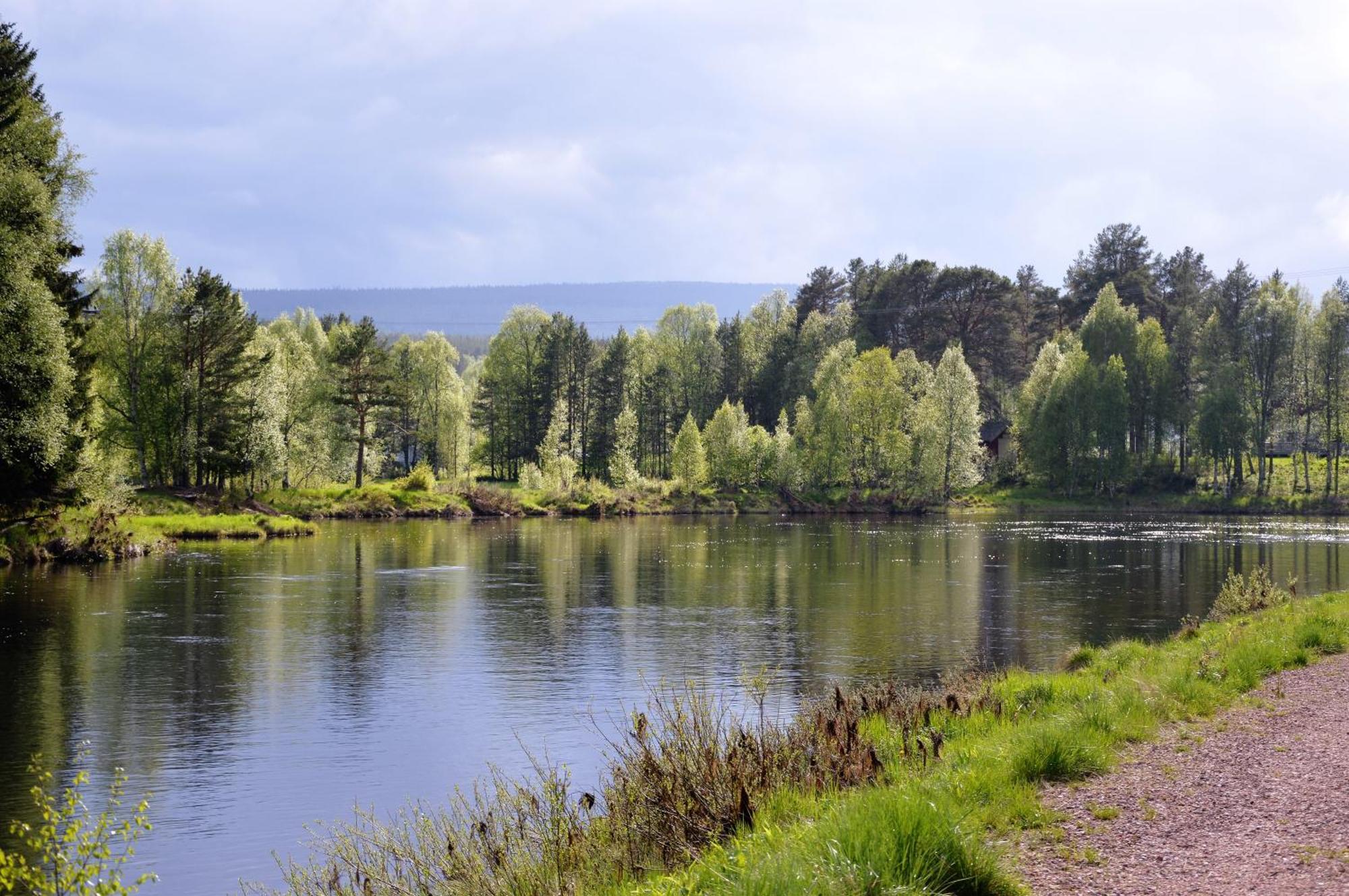 Natur-, Dyre- Og Fugleopplevelser I Fulufjellets Nasjonalparker * Ljørdal