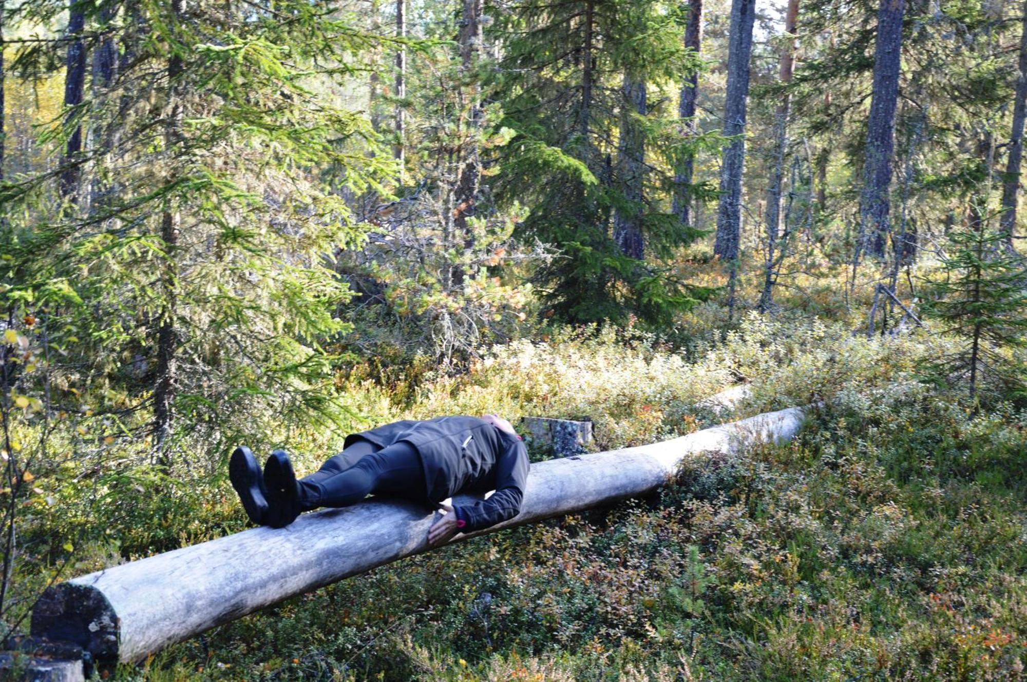 Natur-, Dyre- Og Fugleopplevelser I Fulufjellets Nasjonalparker