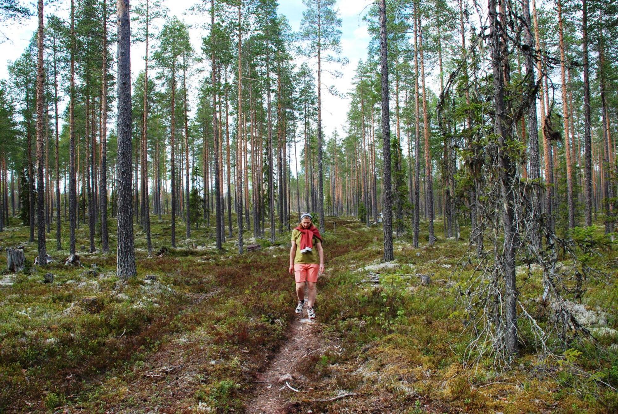 Natur-, Dyre- Og Fugleopplevelser I Fulufjellets Nasjonalparker Apartment
