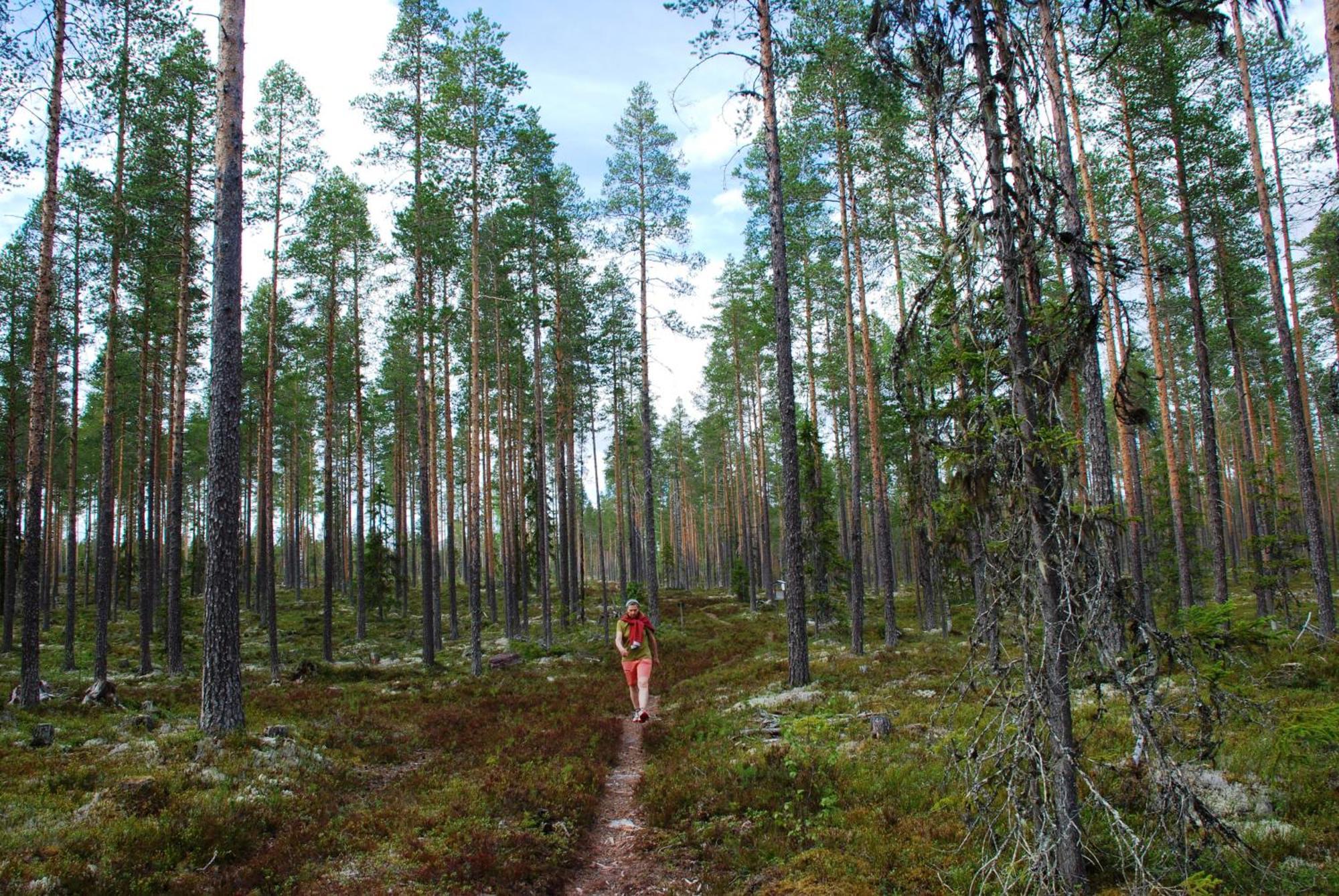 Natur-, Dyre- Og Fugleopplevelser I Fulufjellets Nasjonalparker Apartment *