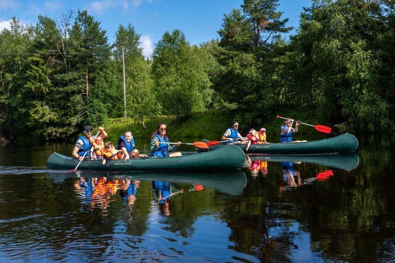 Natur-, Dyre- Og Fugleopplevelser I Fulufjellets Nasjonalparker * Ljørdal