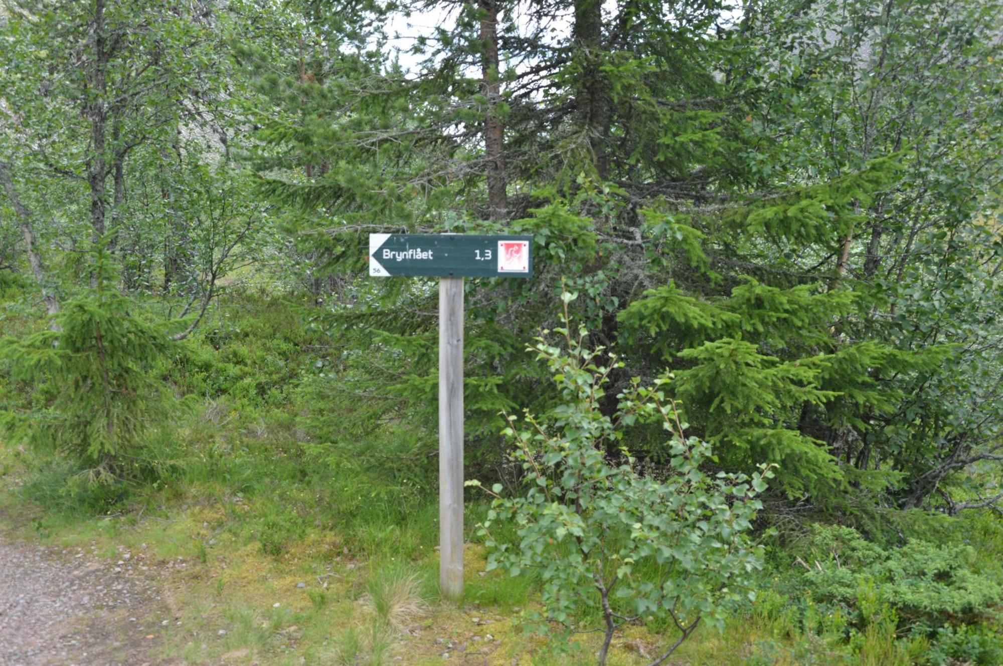 Appartement 12 - Fulufjellets Nasjonalparker - Natur-, Dyre- Og Fugleopplevelser