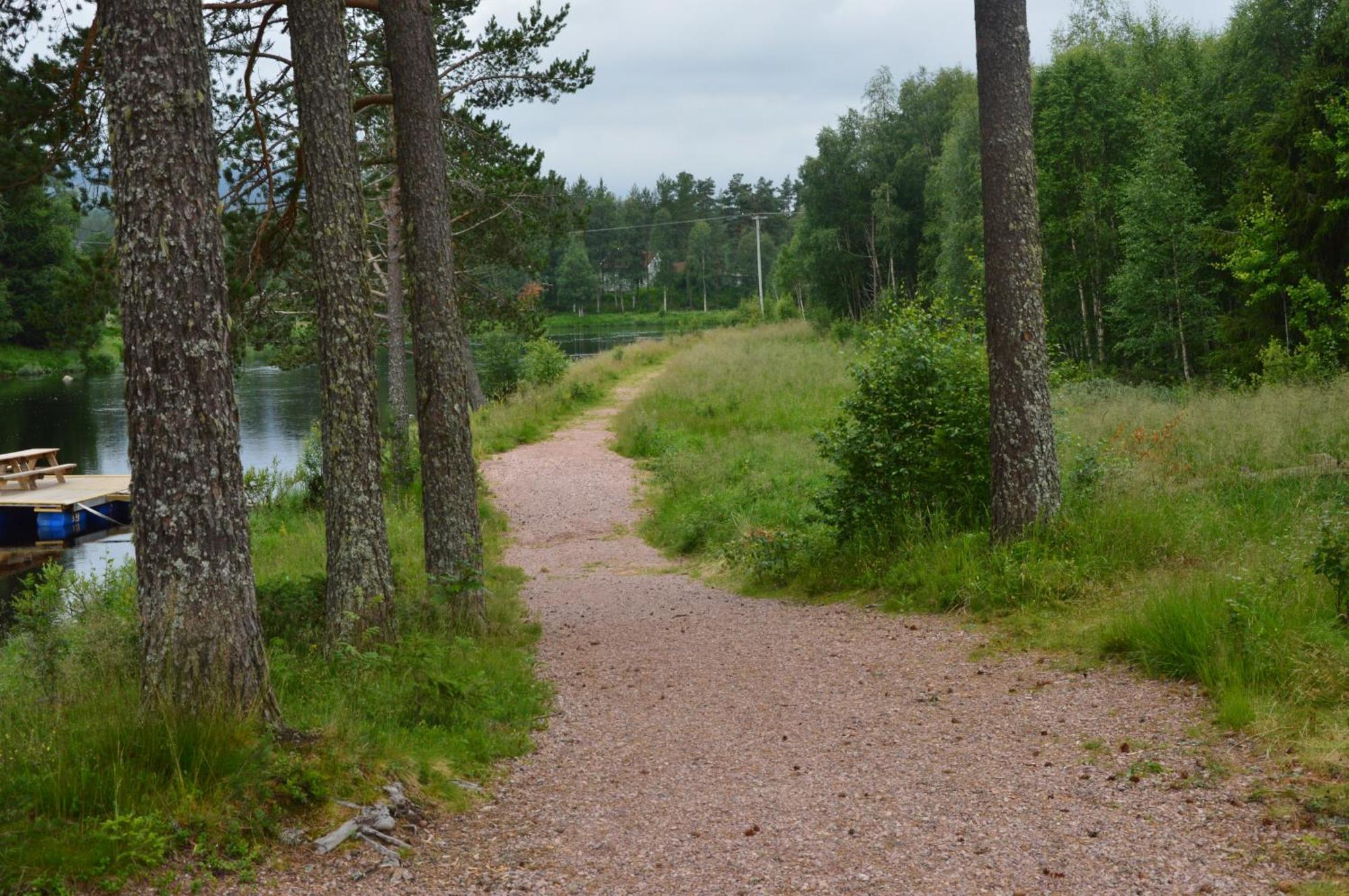 Natur-, Dyre- Og Fugleopplevelser I Fulufjellets Nasjonalparker Apartment Ljørdal