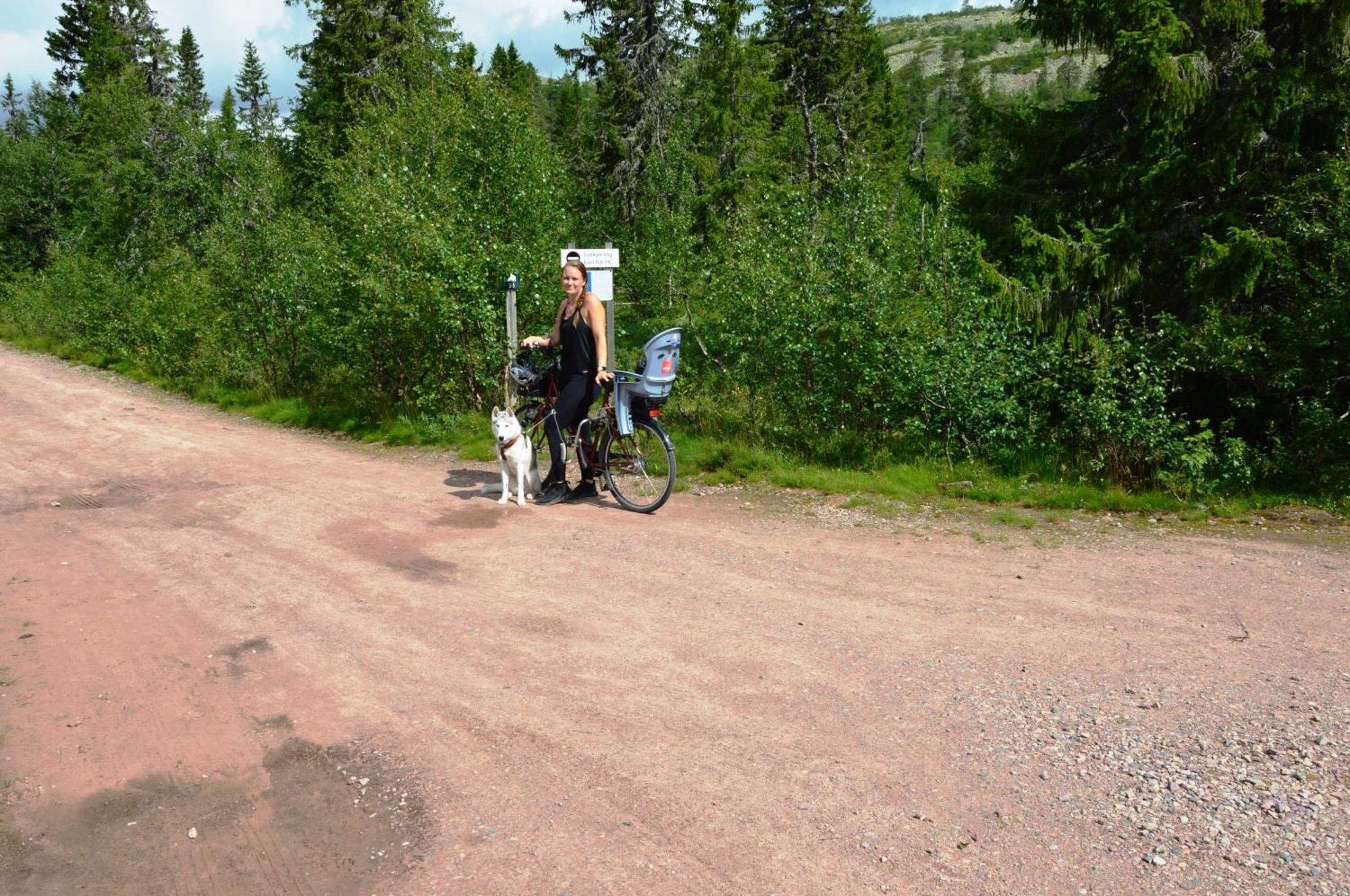 Apartment Natur-, Dyre- Og Fugleopplevelser I Fulufjellets Nasjonalparker Ljørdal