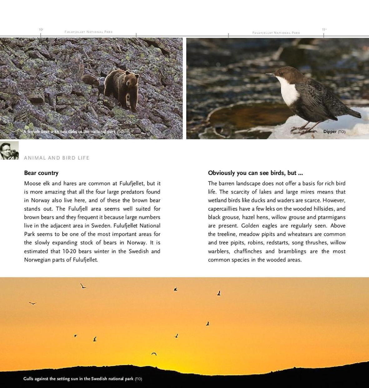 Natur-, Dyre- Og Fugleopplevelser I Fulufjellets Nasjonalparker *
