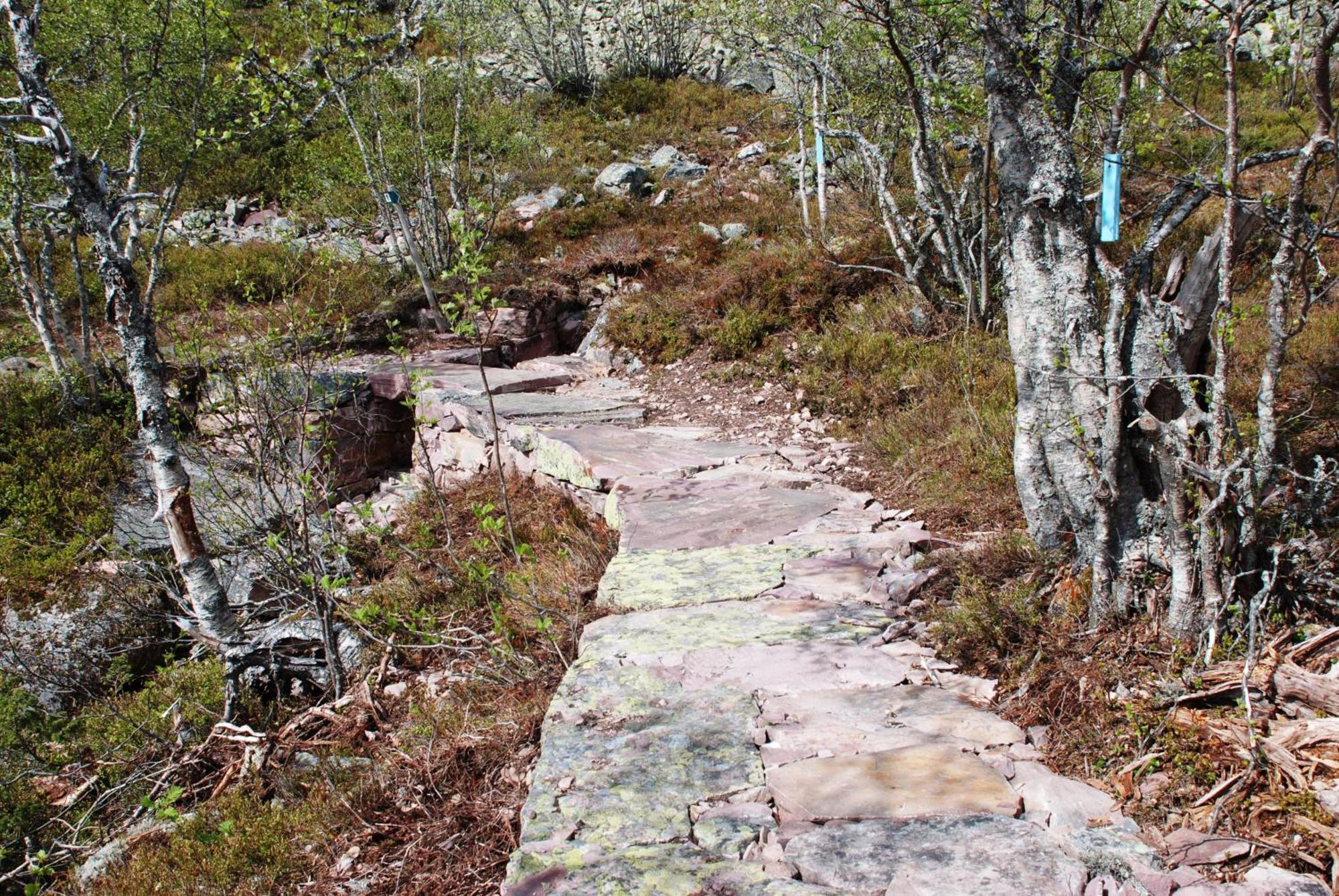 Natur-, Dyre- Og Fugleopplevelser I Fulufjellets Nasjonalparker Ljørdal