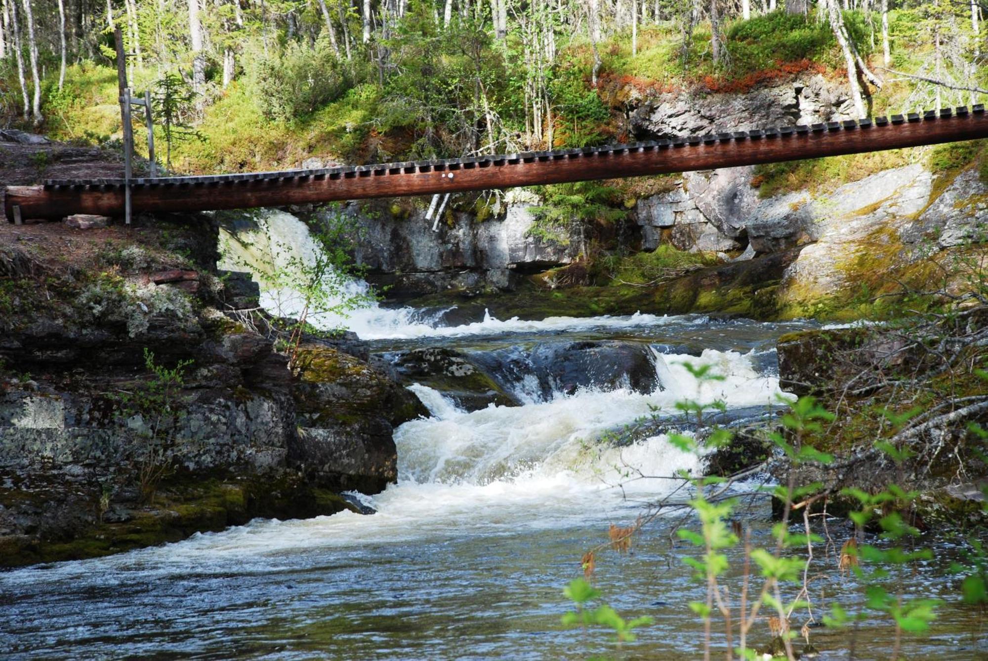 Natur-, Dyre- Og Fugleopplevelser I Fulufjellets Nasjonalparker Ljørdal