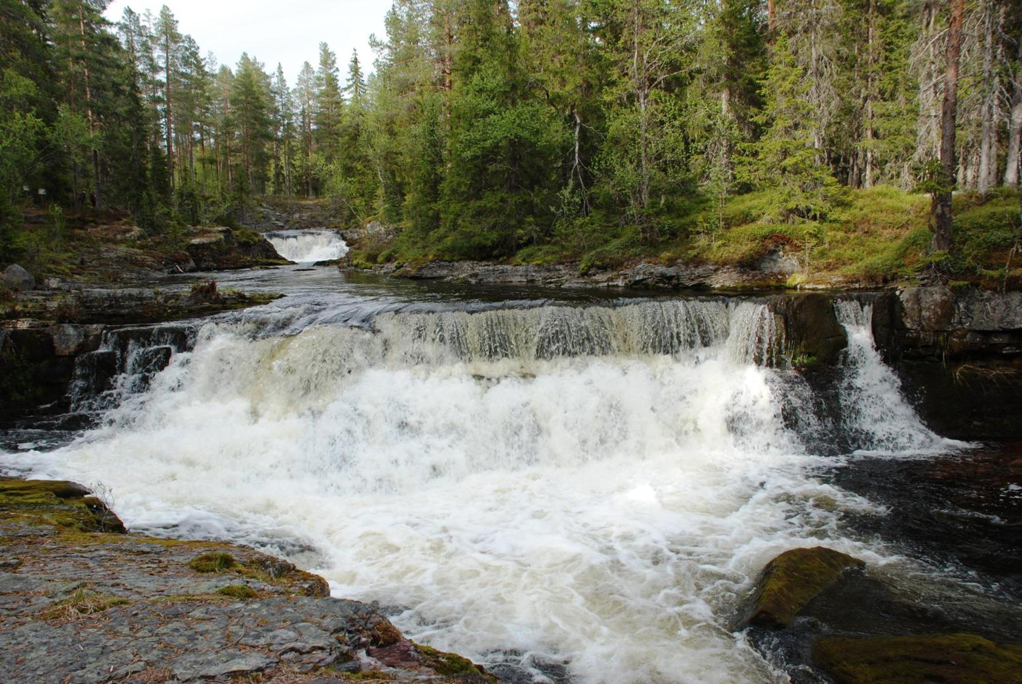 Natur-, Dyre- Og Fugleopplevelser I Fulufjellets Nasjonalparker Apartment *