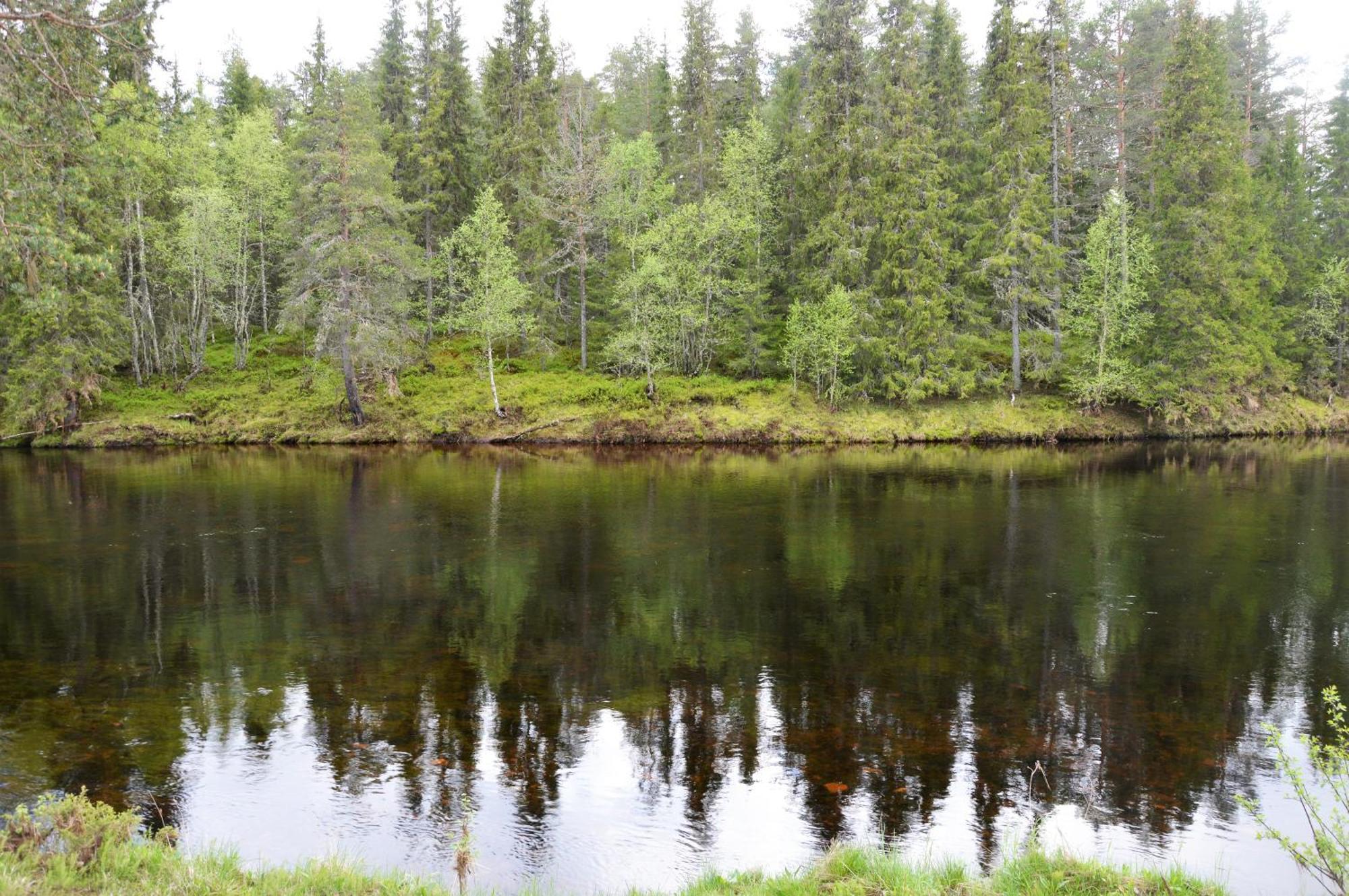 12 - Fulufjellets Nasjonalparker - Natur-, Dyre- Og Fugleopplevelser *