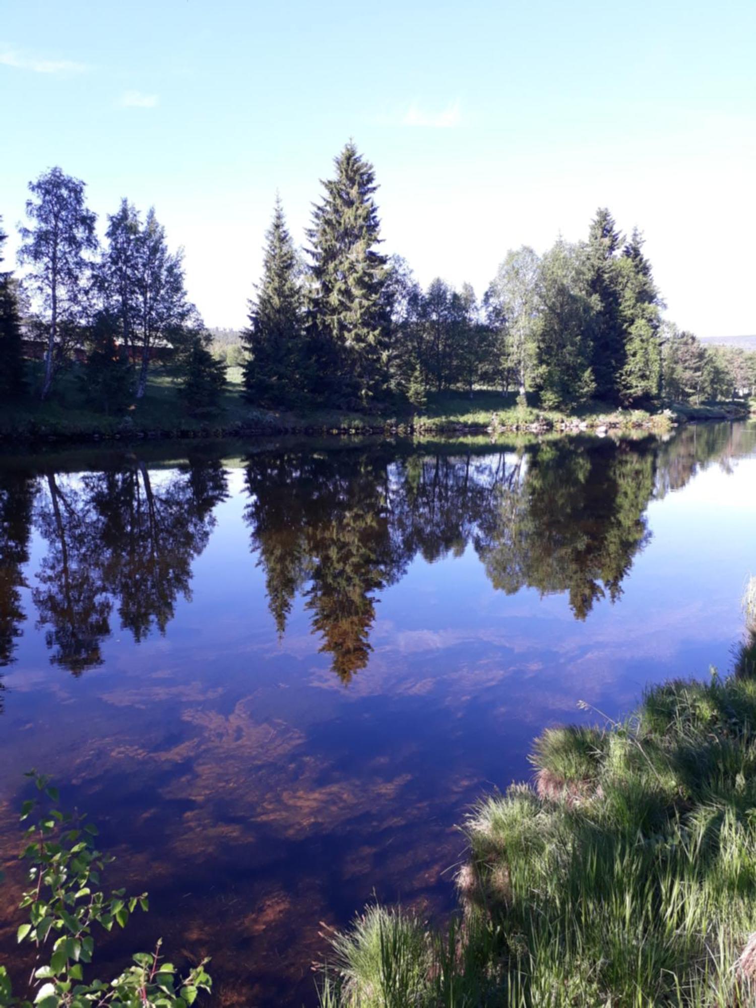 Appartement 12 - Fulufjellets Nasjonalparker - Natur-, Dyre- Og Fugleopplevelser *